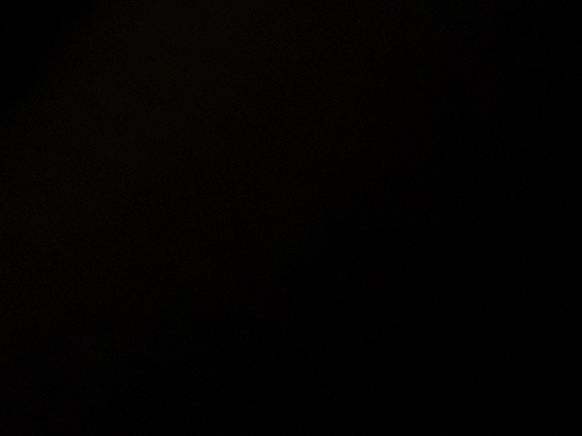 foto_2_1791185734