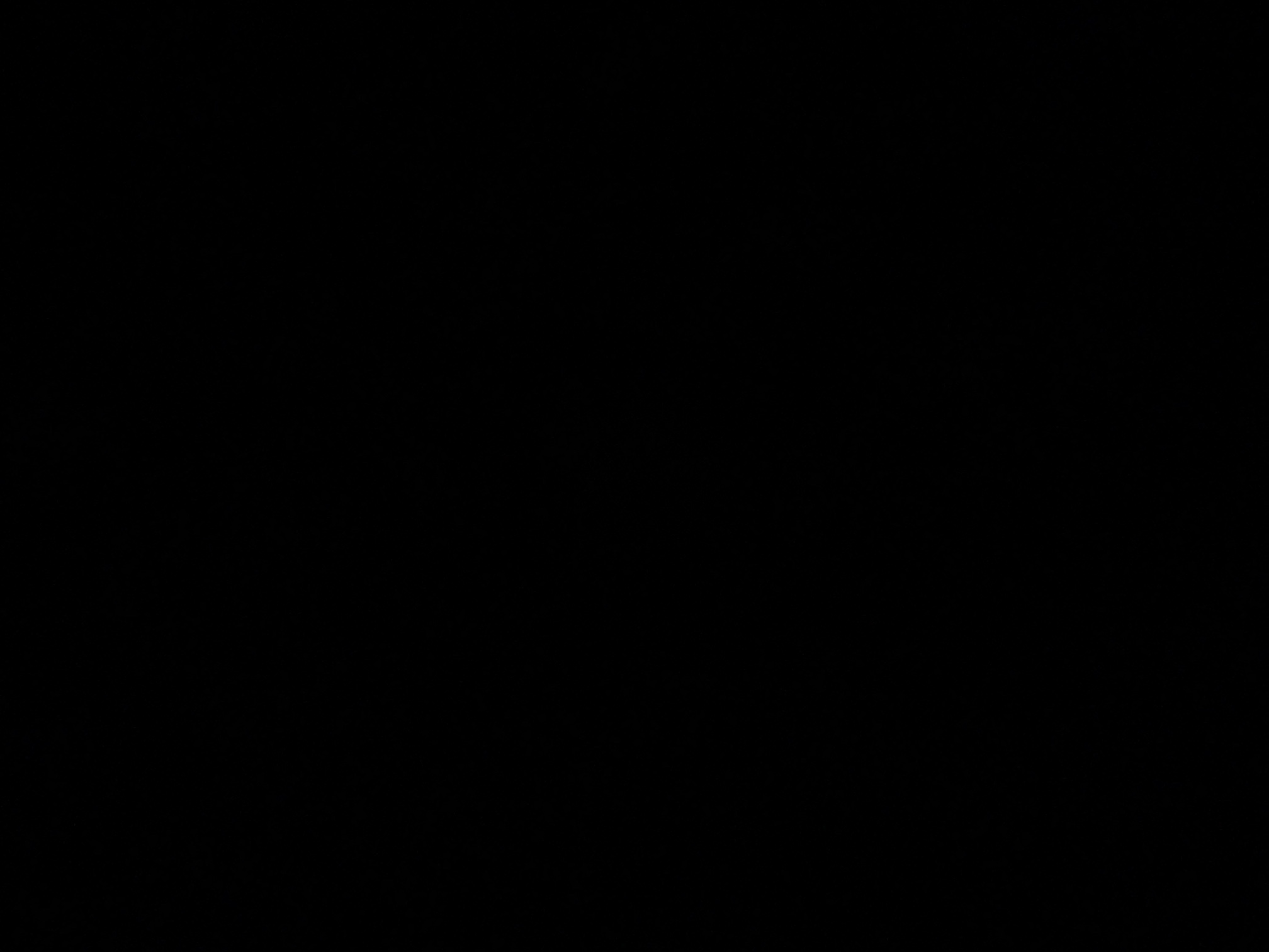 foto_2_1791235105