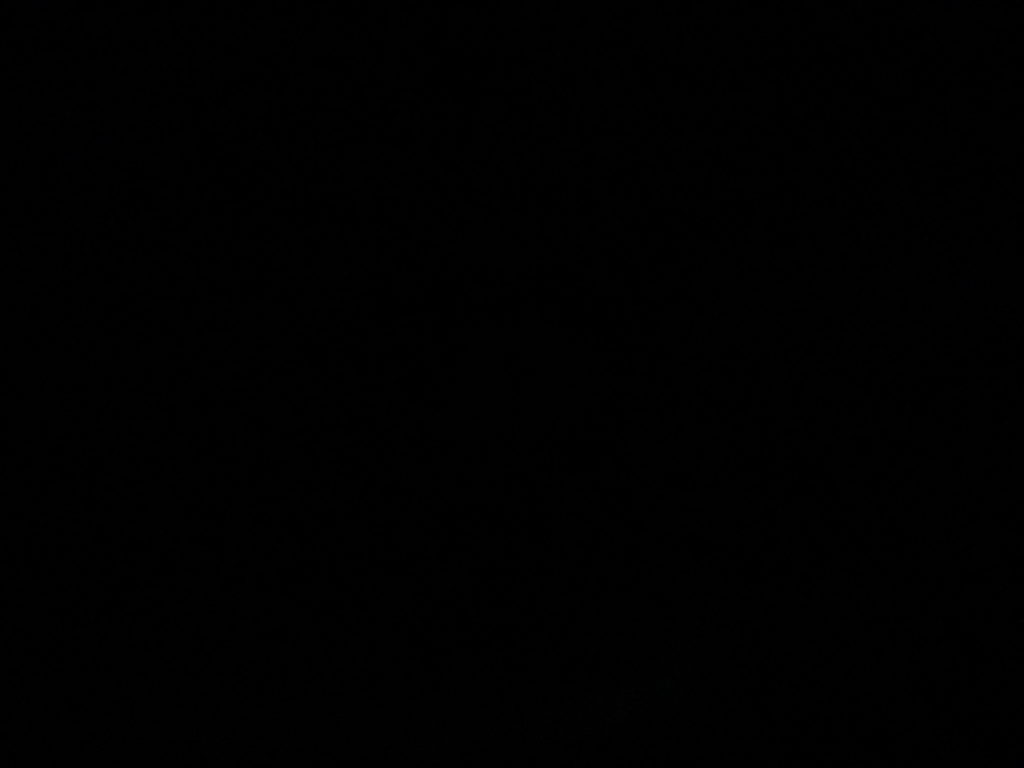 foto_2_1791237651