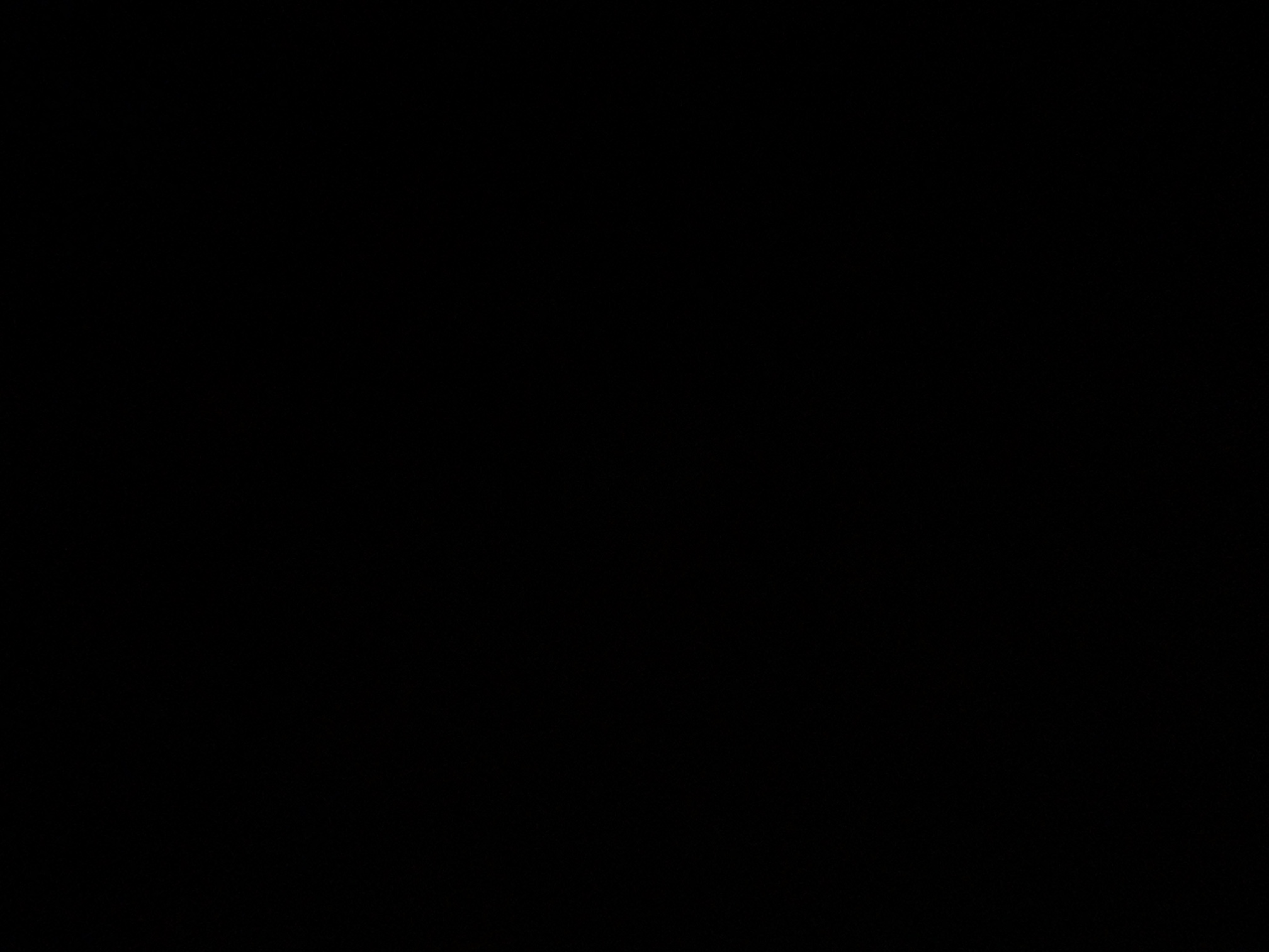 foto_3_1789411921