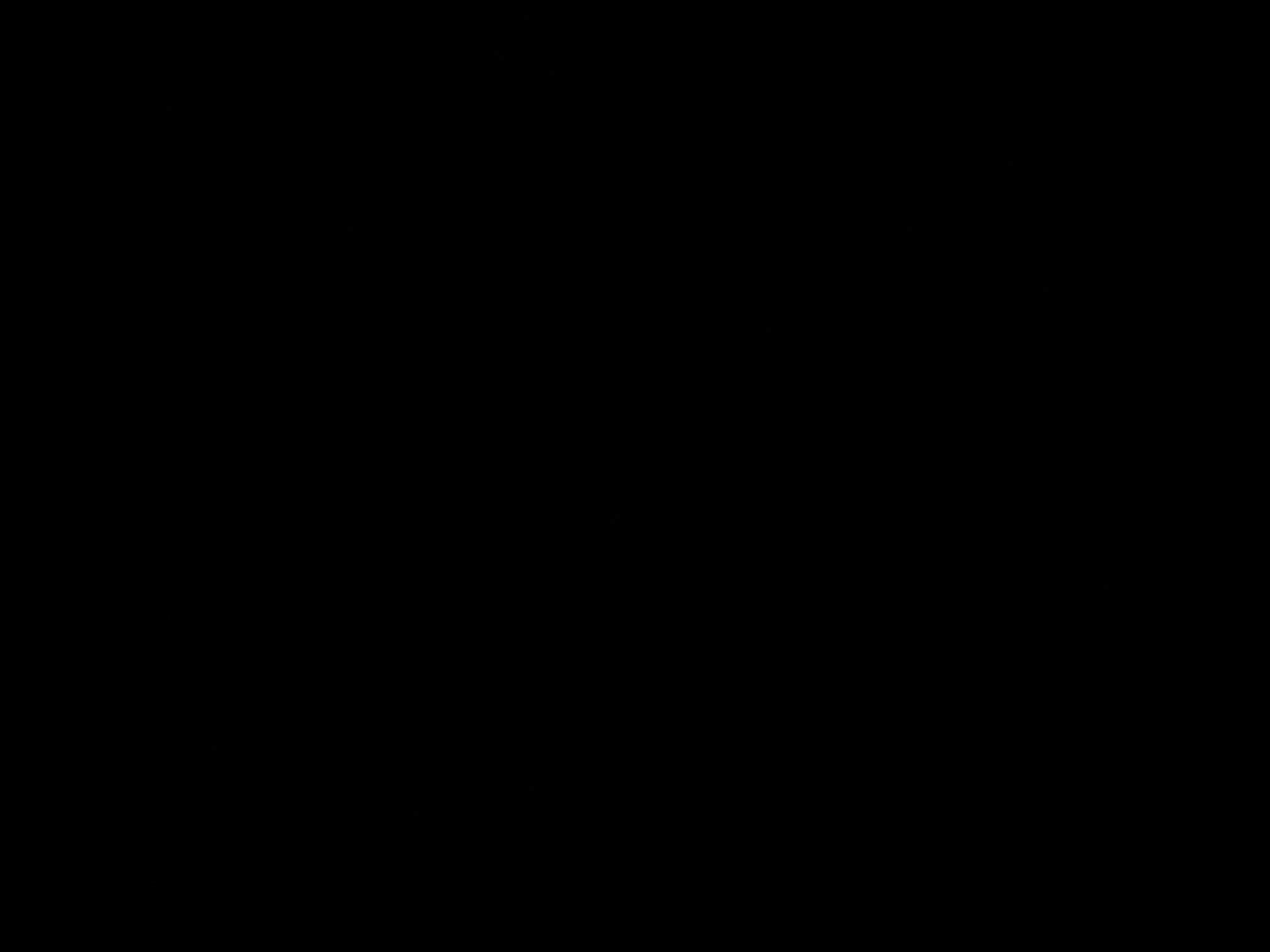 foto_3_1789414298