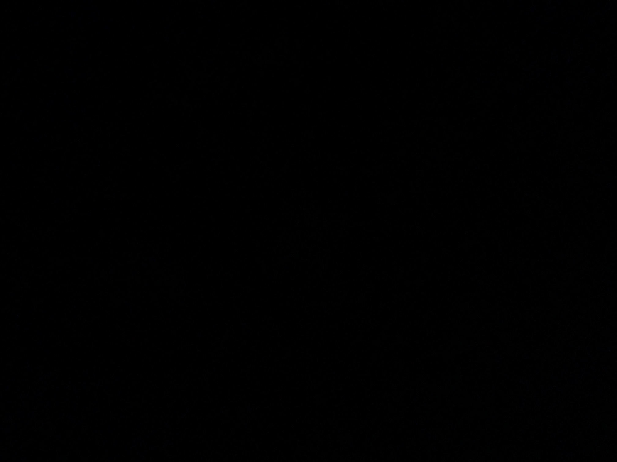 foto_3_1790019631