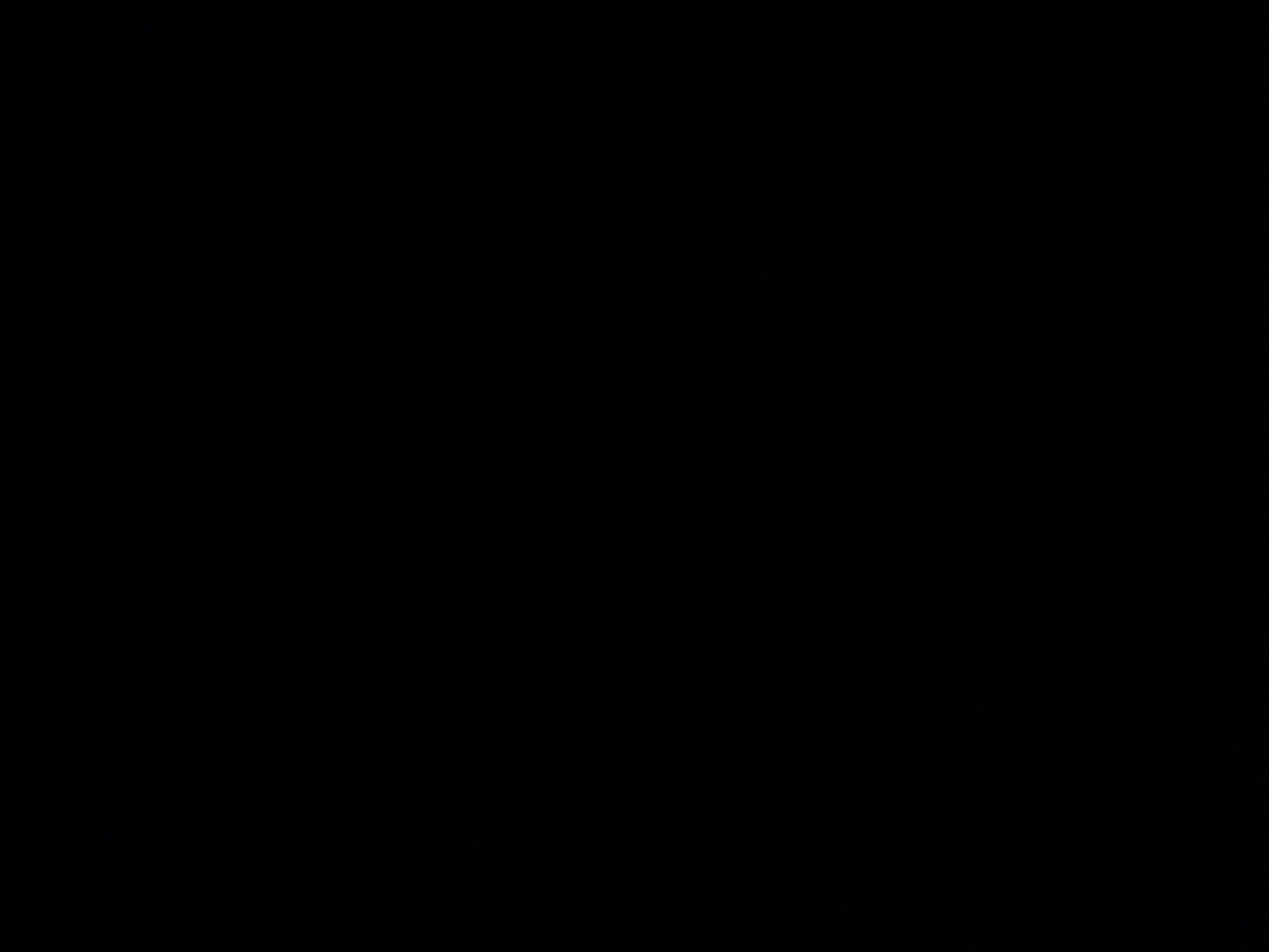 foto_3_1790019998