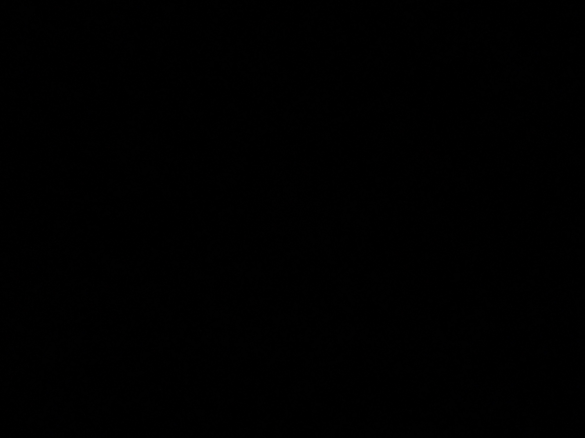 foto_3_1790044540