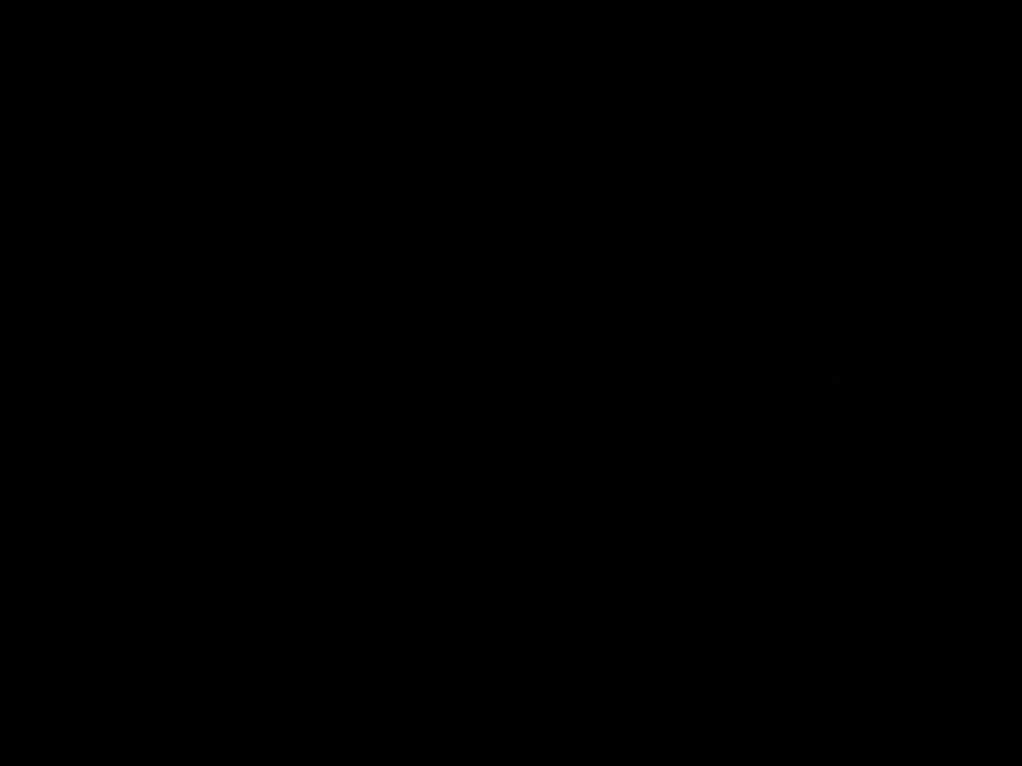 foto_3_1790320711
