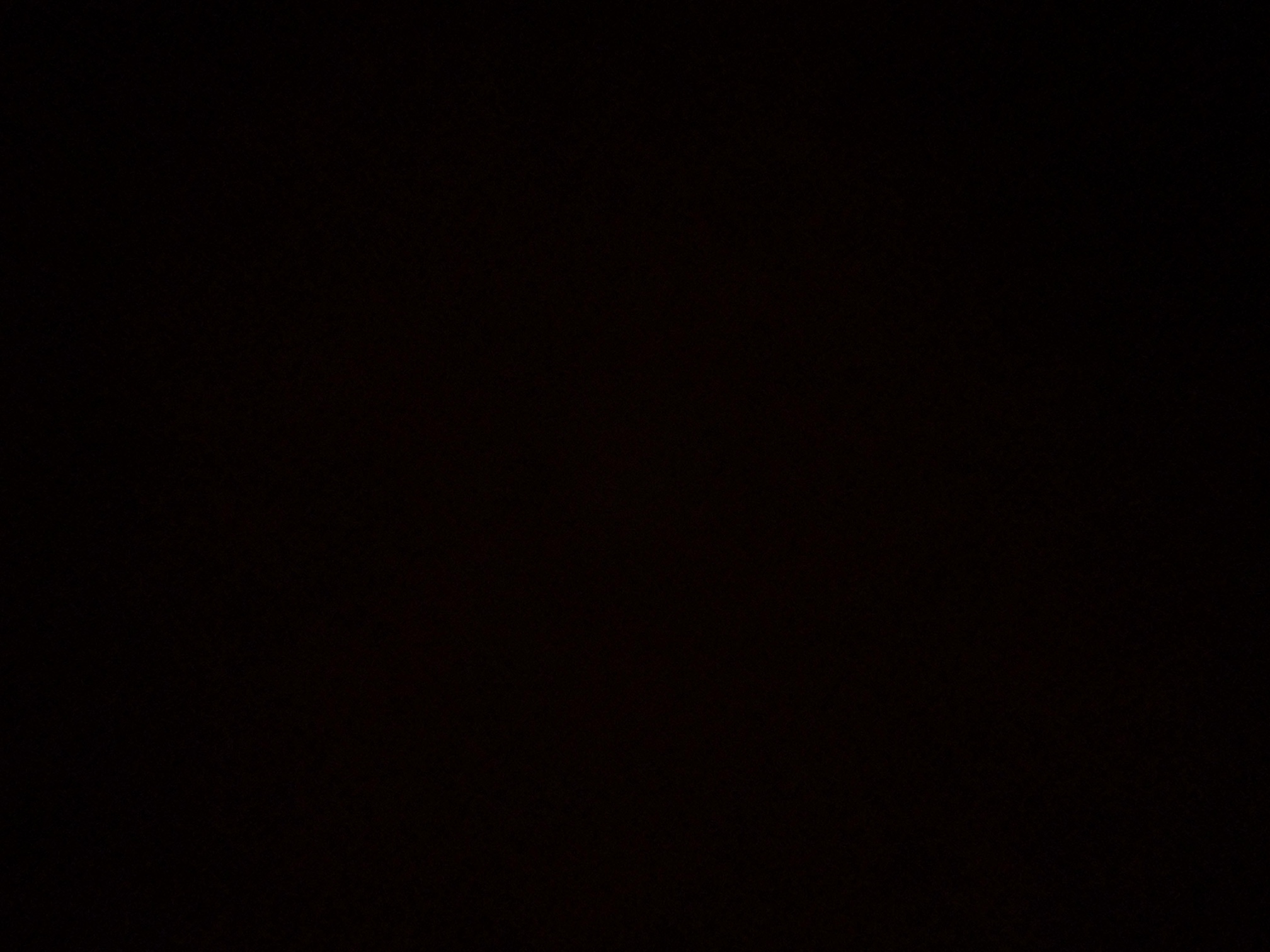 foto_3_1790361821