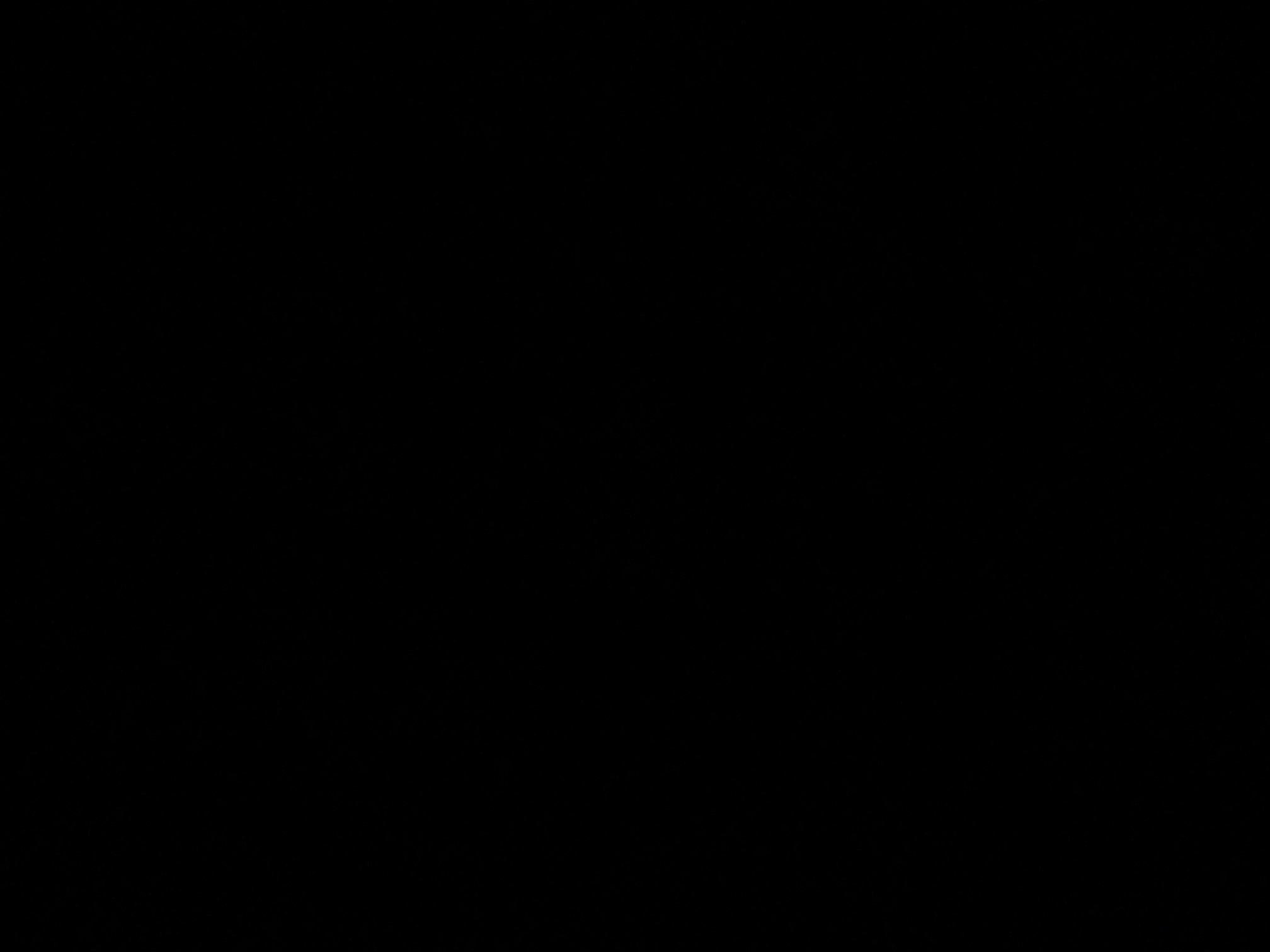 foto_3_1790376716
