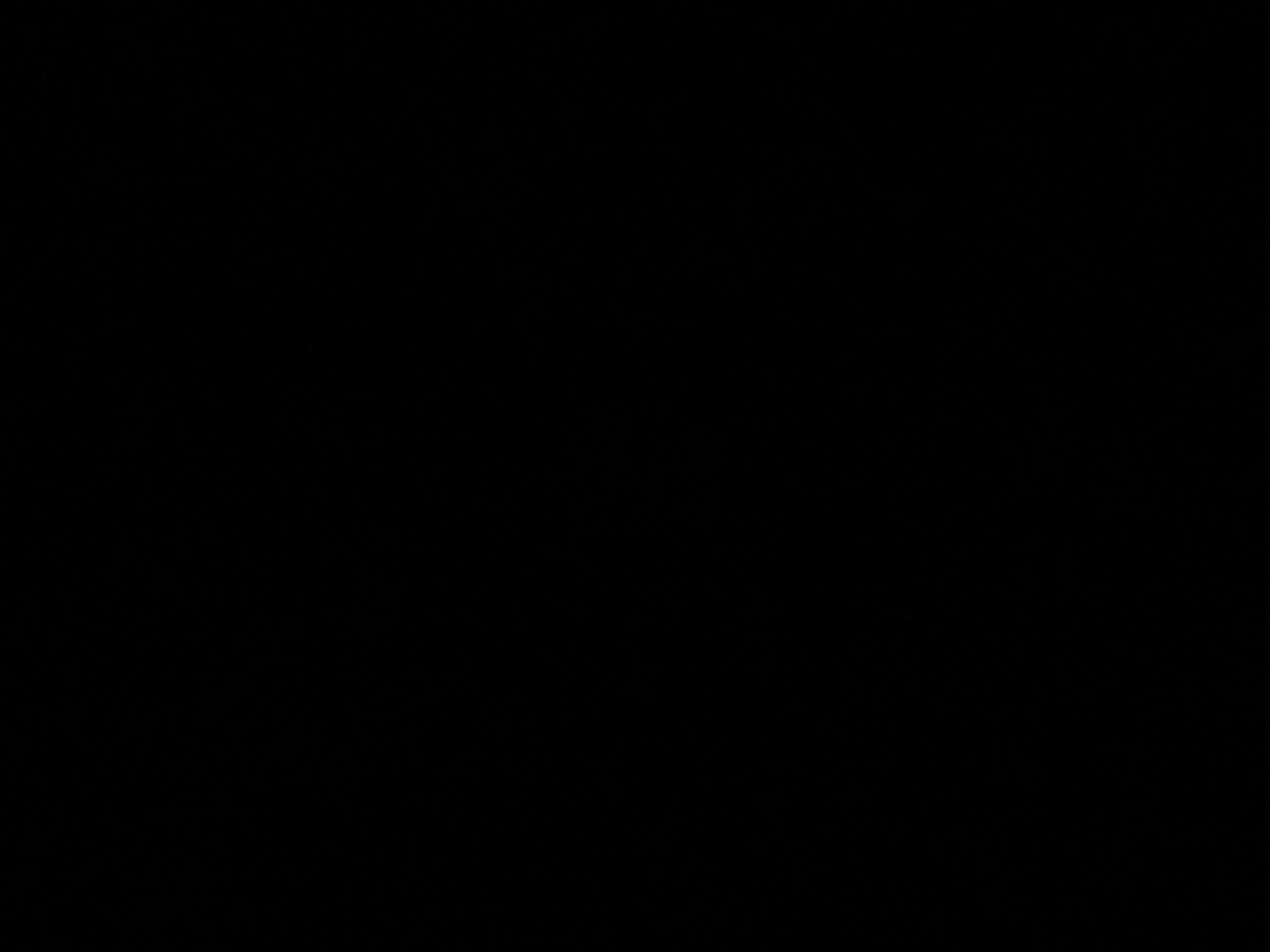 foto_3_1791081968